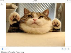 Meet your Posher, Eli